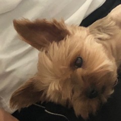 참 이상해(190617sketch)