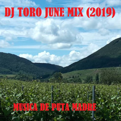 DJ TORO - JUNE MIX (2019)