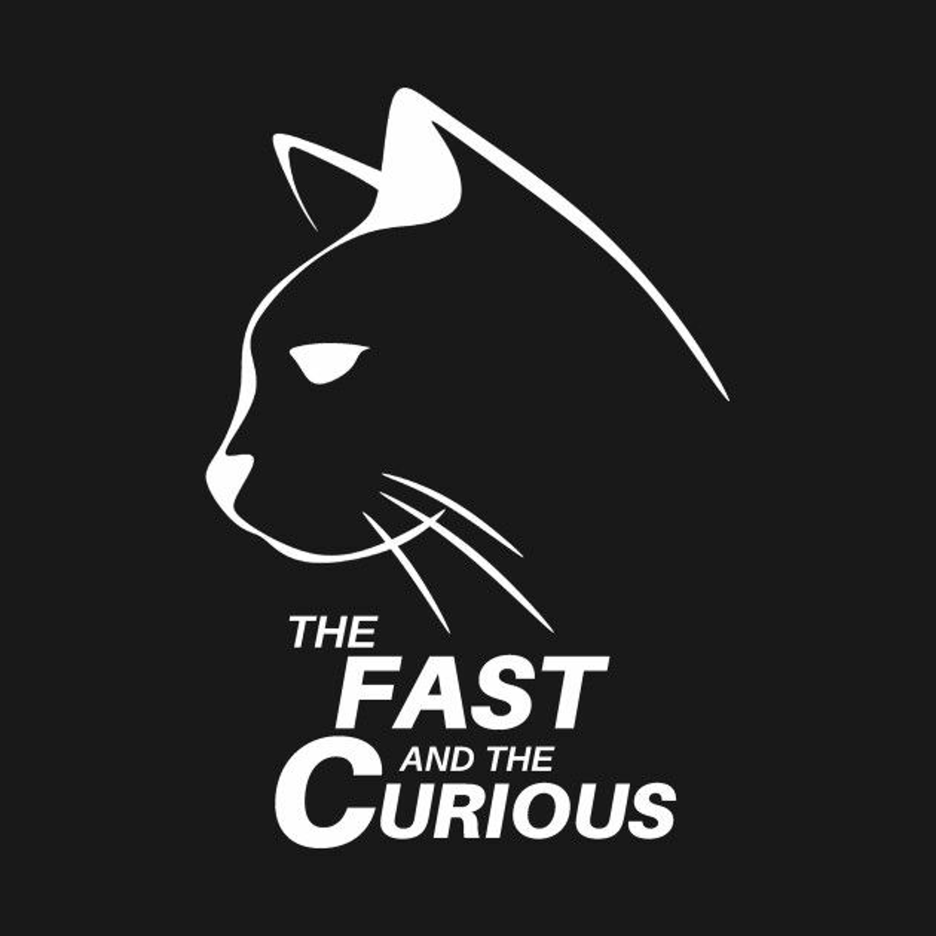 The Fast & The Curious episode artwork