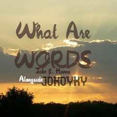What Are Words - Jake.Z ft. Hanna.Z alongside JOKOYKY
