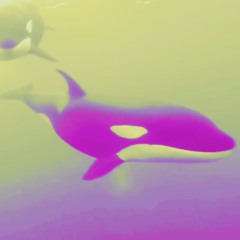 Neon Dive