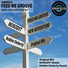 Feed Me Groove - New Adventure (Robbie Doherty Remix)