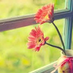 پاهای نیلوفرین _ فرمان فتحعلیان