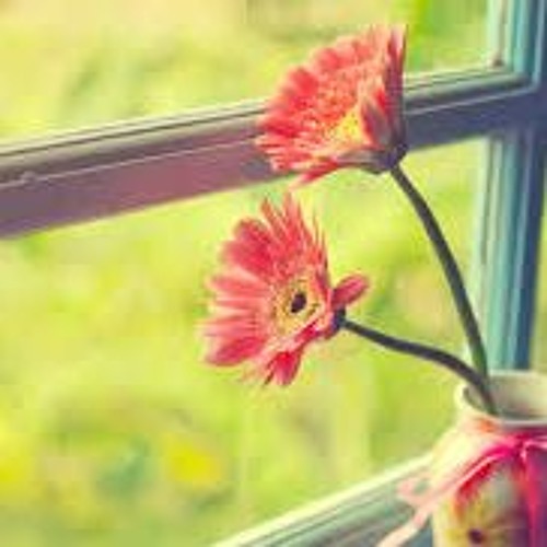 پاهای نیلوفرین _ فرمان فتحعلیان