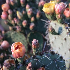 suddenly. (ft Butter)