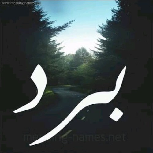 Mostafa fawzy ft M-OSSOSS | برد )