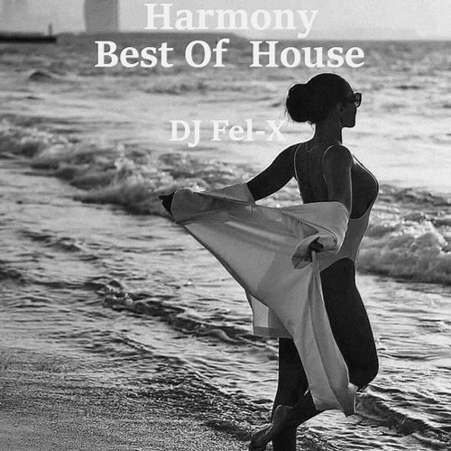 Best Of House Harmony Mix DJ Fel - X