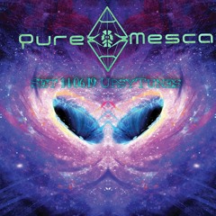PureMesca - SetUpsyTunesClub 14/06/19