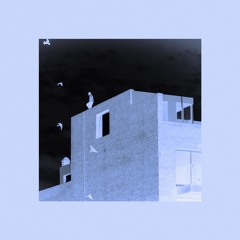 Zampa - No Me Verás Caer (Mensik rethink) MX