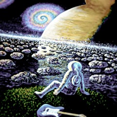 Lizard On The Moon - The Awakening