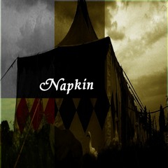 Napkin