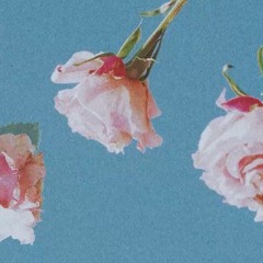 La Vie En Rose - Lofi Version (The 1999)