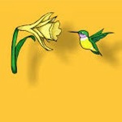 Codinome Beija-Flor - Cazuza (cover)