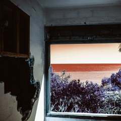 alone in paradise ~