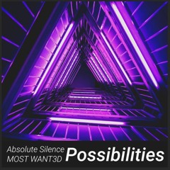 Absolute Silence & MOST WANT3D - Possibilities
