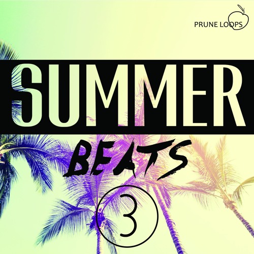 Prune Loops Summer Beats Vol 3 MULTiFORMAT-DECiBEL