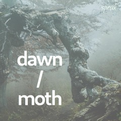 Moth