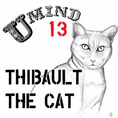 Umind ep.13 Thibault The Cat