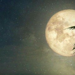 Dekho Dekho - Ready Steady