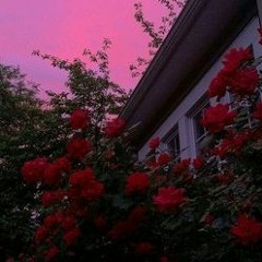 Feel You Ft. FIEND (Prod. Aleksandr Ches)