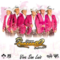 Consentidos de San Luis - Huapango Viva San Luis / 2019