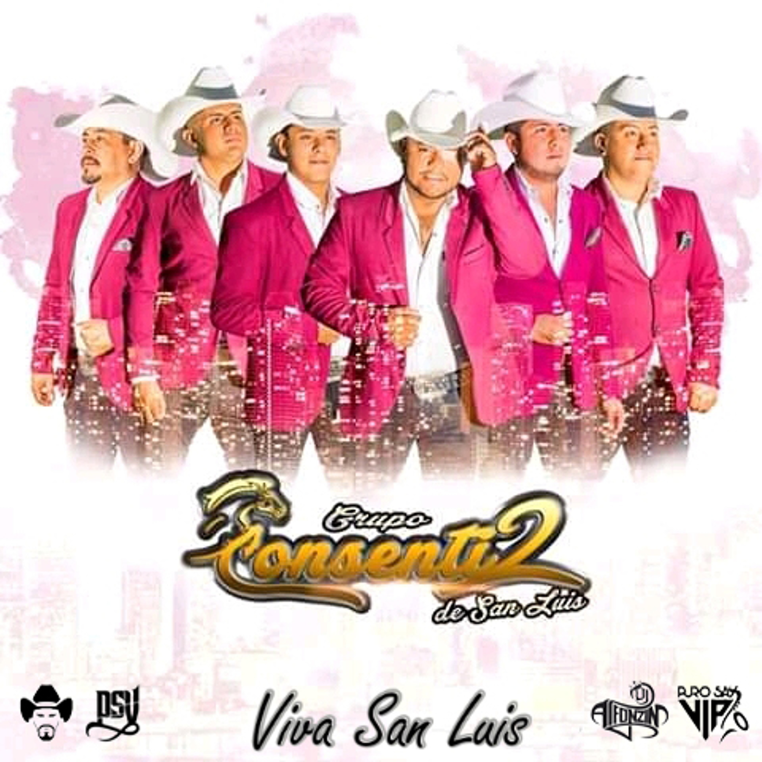 Consentidos de San Luis - Huapango Viva San Luis / 2019 episode artwork