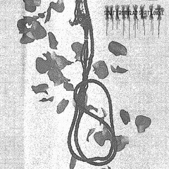 sort kronblad / sort løkke