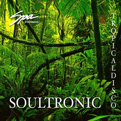 Spa In Disco - Tropical Disco #017 - SOULTRONIC