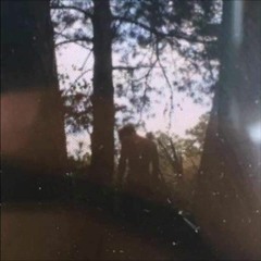 xxxtentacion - WingRiddenAngel
