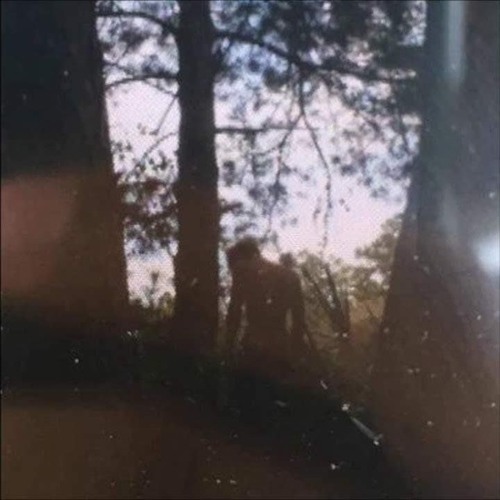 xxxtentacion - skin