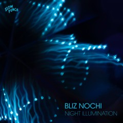 PREMIERE: Bliz Nochi - Night Illumination [slowpunch]