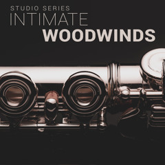 8Dio Intimate Studio Woodwinds "Library Of Dreams" By Lionel Schmitt