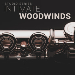 8Dio Intimate Studio Woodwinds "Moonlight Fantasy No.3" By Leandro Gardini