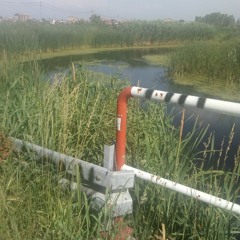 Svaki moj demon (freestyle)