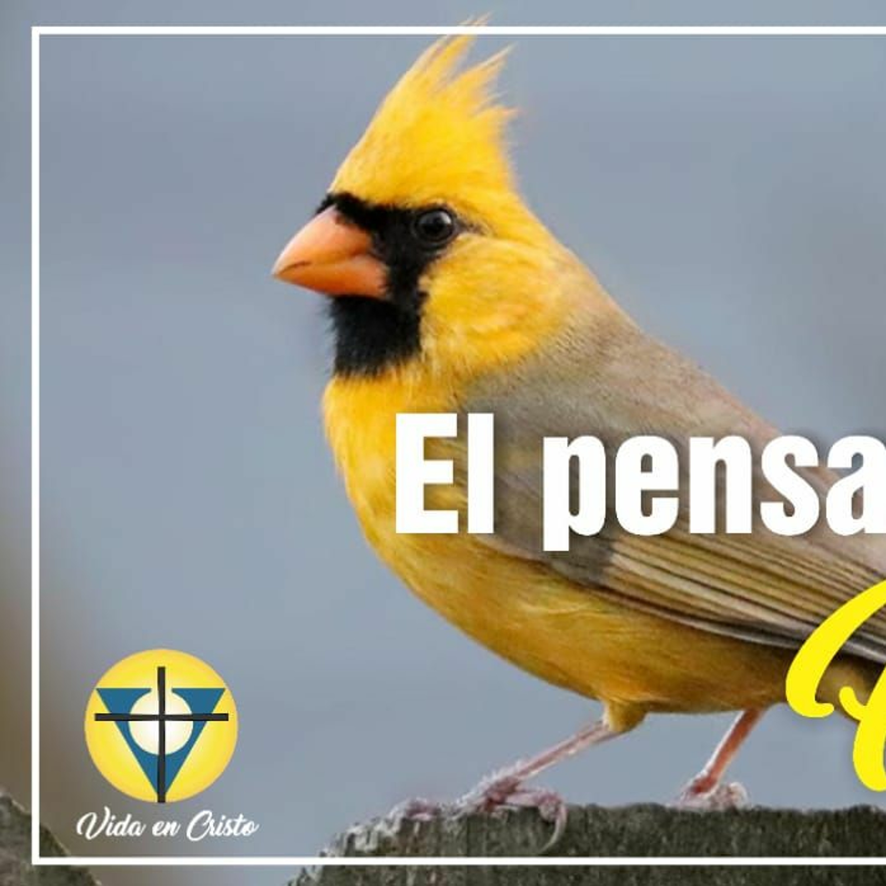 Mensajes de Vida