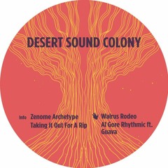 Premiere: Desert Sound Colony 'Taking It Out For A Rip'