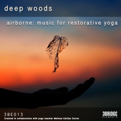 Airborne: A Restorative Yoga Continuous Mix