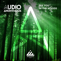 Audio Anonymous - See You in the Woods (Original mix)