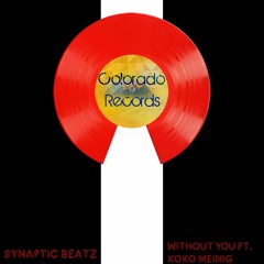 Without You (Feat. Koko Meinig)