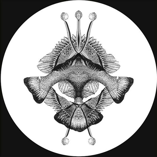 Premiere: James Bong "Konduktor" - MindTrip