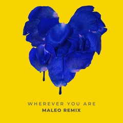 Adam&Steve - Wherever You Are feat (Maty Noyes) (Maleo Remix)