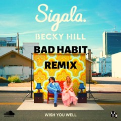 Sigala Ft. Becky Hill - Wish You Well (BAD HABIT Remix)