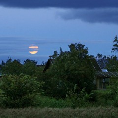 xanex (prod.thisboyisbad)