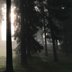 Daniel Lindström - Woodland Pursuit