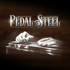 PEDAL STEEL: "Worn Out Shoe" by Pixelee