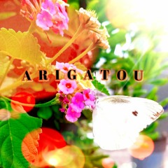ARIGATOU(Thank you my dear All Friends)