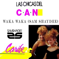 Waka Waka ( Sam Shaydee Bootleg )