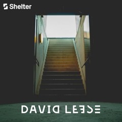 David Leese - Shelter Treatment
