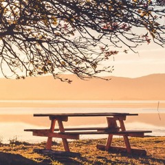 Quiet place and disturbance