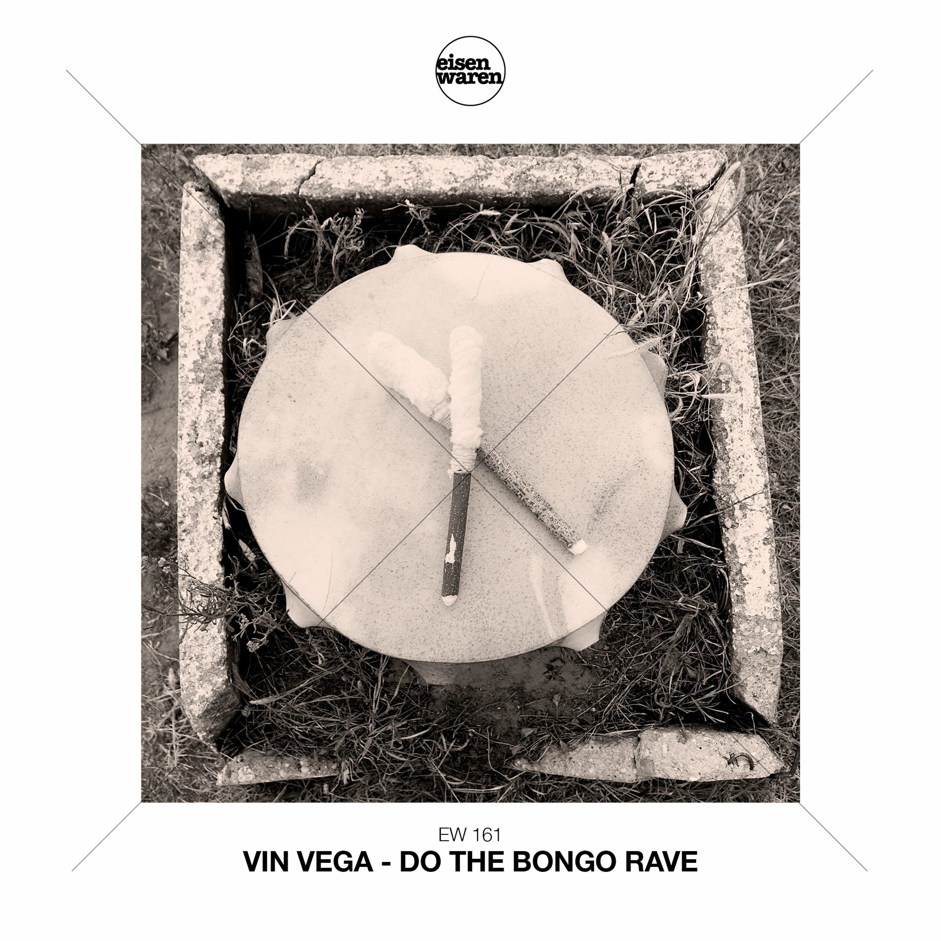 Vin Vega